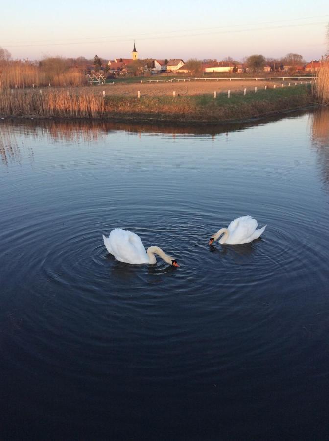 Nagybajcsi Lovaspark Es Otthon Vendeghaz Bagian luar foto