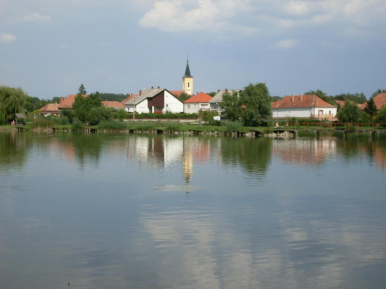 Nagybajcsi Lovaspark Es Otthon Vendeghaz Bagian luar foto