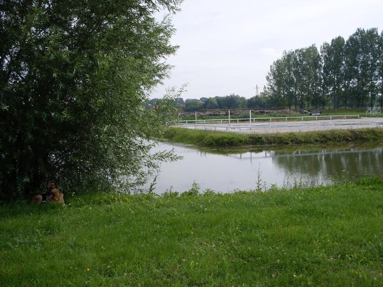 Nagybajcsi Lovaspark Es Otthon Vendeghaz Bagian luar foto